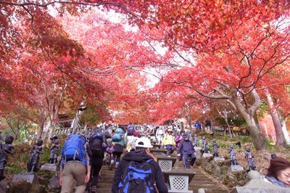 大山トワイライトトレッキング合コン