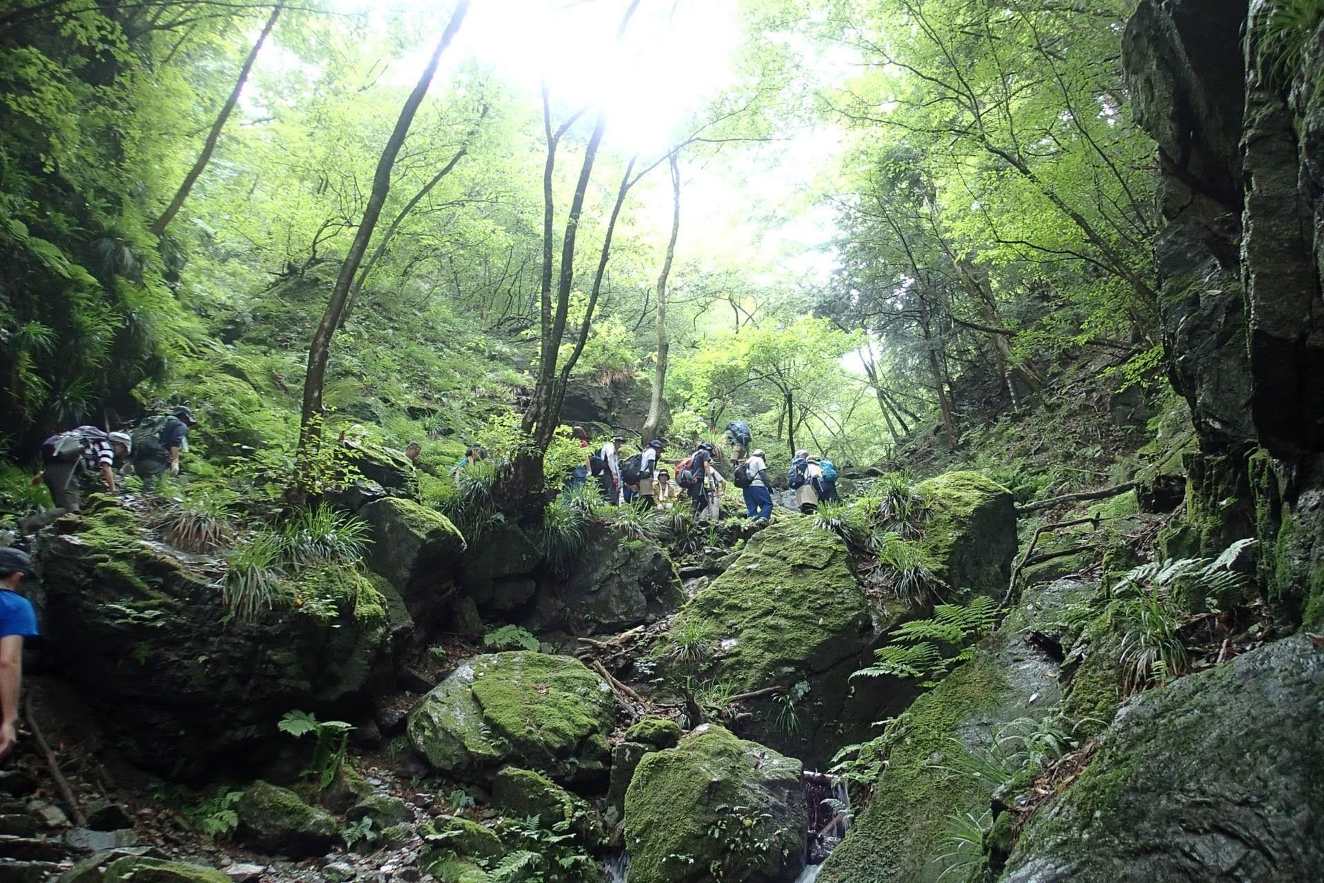 共通の趣味は、出会いの質が高い!人気の棒ノ折山トレッキング合コン