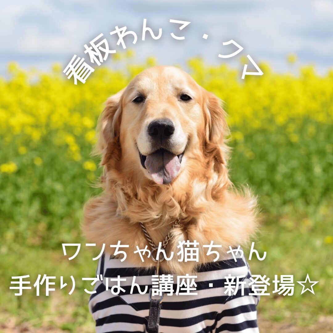 愛しいワンちゃん・猫ちゃんの手作りごはん講座・新登場☆